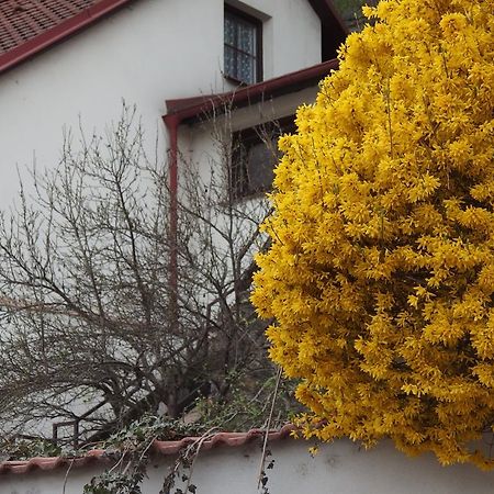 Apartmány u Koček Tábor Exteriér fotografie