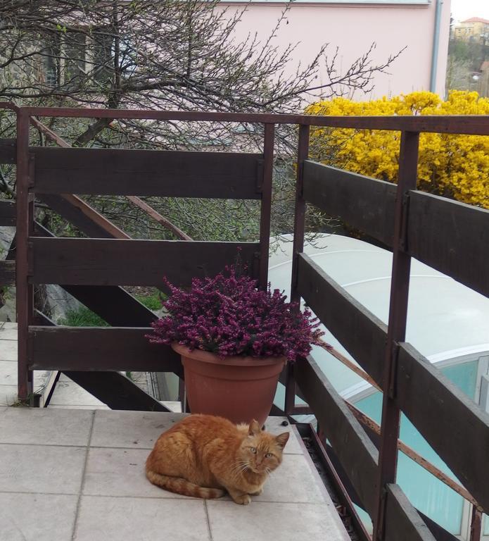 Apartmány u Koček Tábor Exteriér fotografie